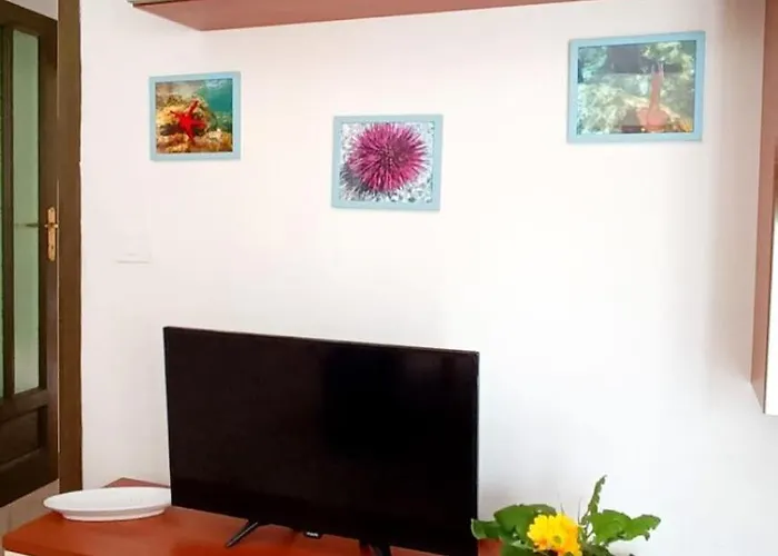 Isola 156 Apartament