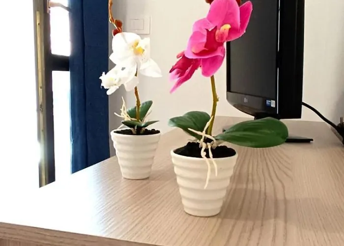 Isola 156 Apartament